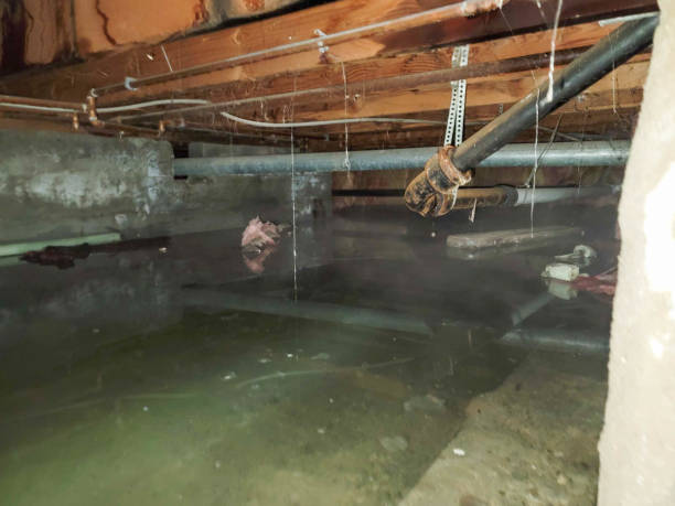 Best Residential water damage restoration  in Amelia, LA