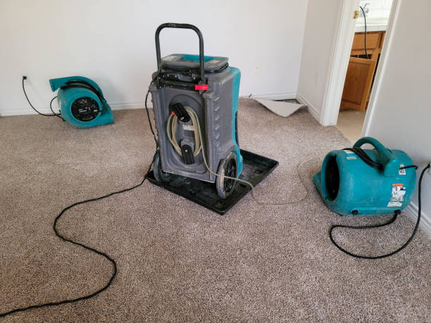 Best Water damage restoration near me  in Amelia, LA