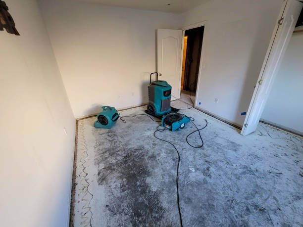 Best Water damage restoration cost  in Amelia, LA