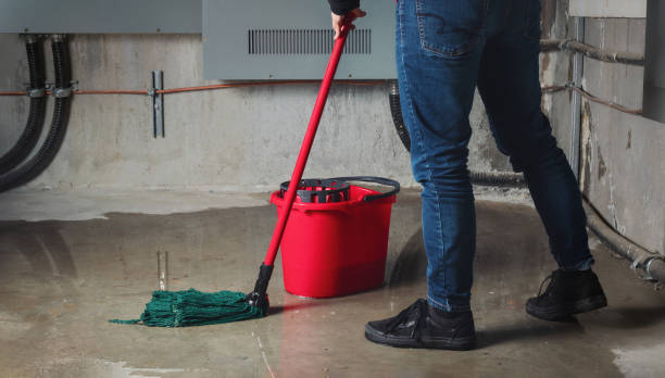 Best Flooded house restoration  in Amelia, LA