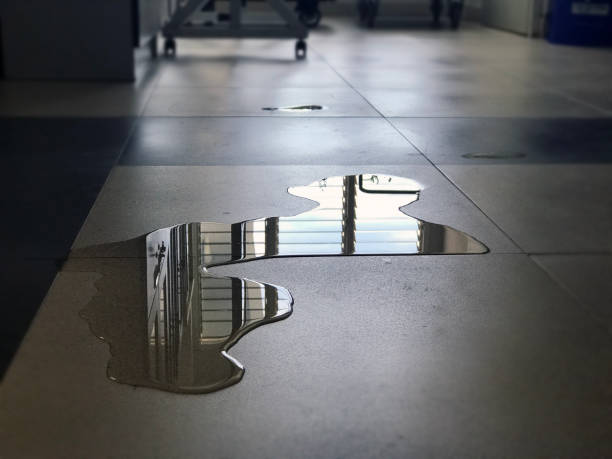 Best Water damage restoration specialists  in Amelia, LA