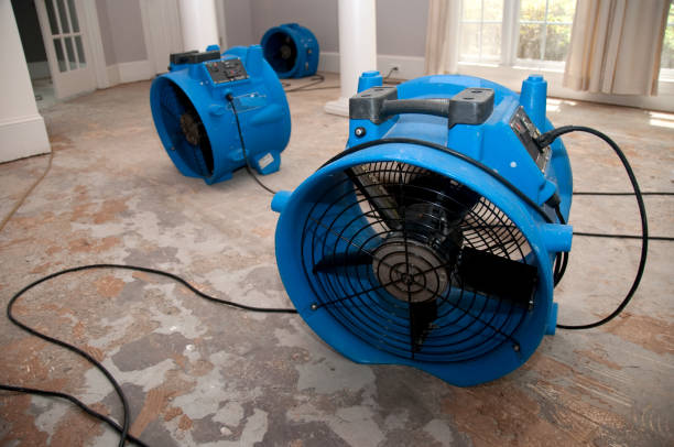  Amelia, LA Water damage restoration Pros