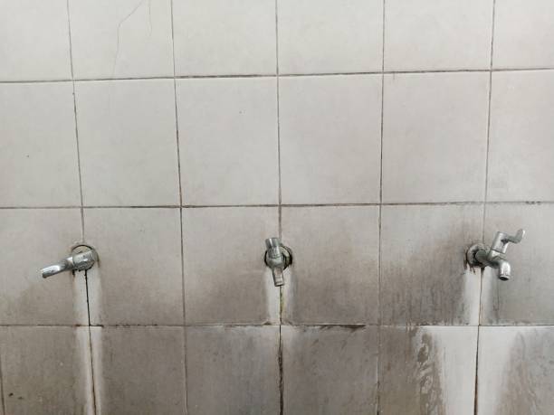 Best Flood restoration services  in Amelia, LA