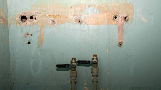 Best Water damage restoration near me  in Amelia, LA