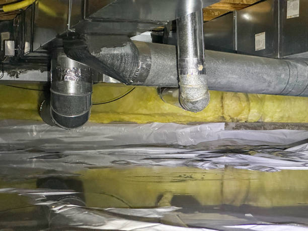 Best Ceiling water damage repair  in Amelia, LA