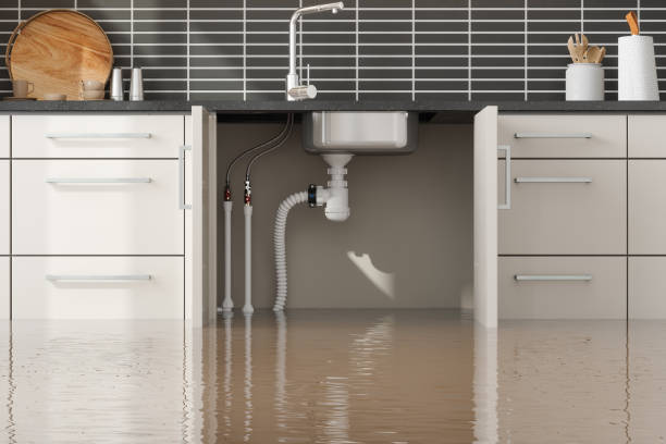 Amelia, LA Water damage restoration Company