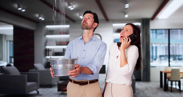 Carpet water damage restoration in Amelia, LA