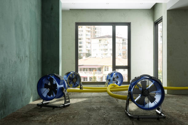 Best Residential water damage restoration  in Amelia, LA